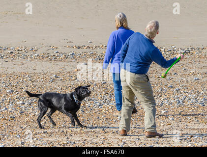 Ein paar spielen mit ihrem Hund am Strand. Stockfoto