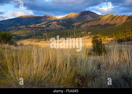 Soda Butte Creek Valley, Yellowstone-Nationalpark, Wyoming, USA Stockfoto