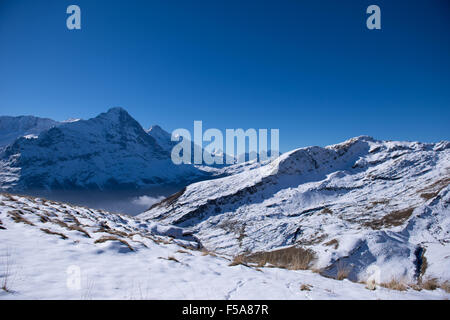 ersten Berg und den schneebedeckten Gipfeln der Jungfrau Region Grindelwald Schweiz Stockfoto