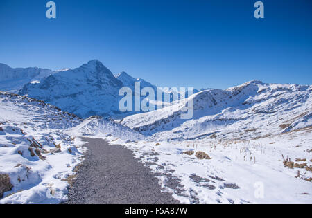 ersten Berg und den schneebedeckten Gipfeln der Jungfrau Region Grindelwald Schweiz Stockfoto
