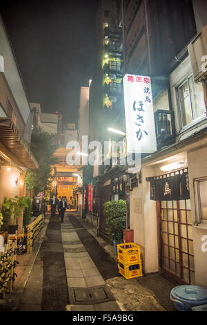 Gasse um Karasumori Jinja, nahe Shimbashi Station, Minato-Ku, Tokio, Japan Stockfoto