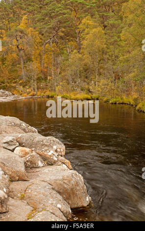 Glen Affric im Herbst Stockfoto