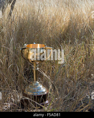 Melbourne Cup (2013) auf Burke und Wills Camp 119 in der Nähe von Normanton, Golfstaat, Queensland Stockfoto