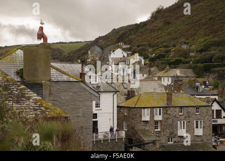 Dächer und weiß getünchten Wänden in Port Isaac, Cornwall. Stockfoto