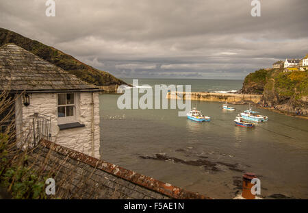 Dächer und weiß getünchten Wänden in Port Isaac, Cornwall. Stockfoto