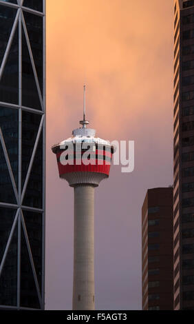 Calgary Tower, umgeben von Gebäuden in der Innenstadt Stockfoto