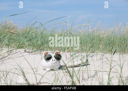 Ein weißes Sparschwein in den Dünen am Strand mit Sonnenbrille Stockfoto