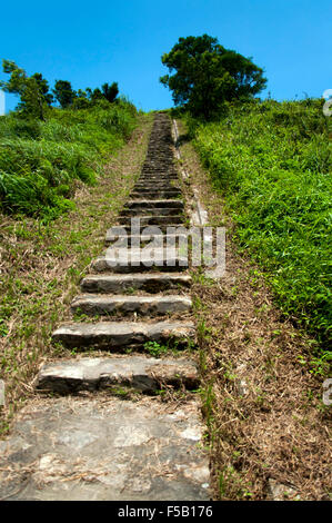 endlose Weg im Lande Stockfoto