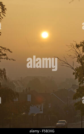 Wimbledon London, UK. Am 1. November 2015. Ein Kran Aufstieg durch dichten Nebel, während die Sonne bricht durch in Wimbledon an einem kalten Novembermorgen Credit: Amer ghazzal/Alamy leben Nachrichten Stockfoto
