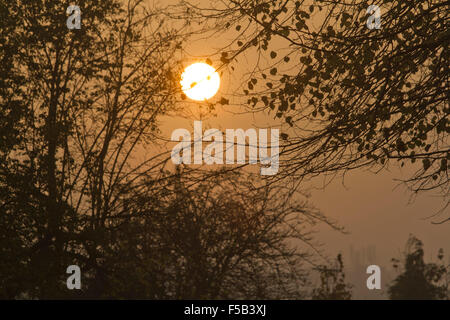 Wimbledon London, UK. 1. November 2015. Die Sonne bricht durch dichten Nebel in Wimbledon an einem kalten Novembermorgen Credit: Amer Ghazzal/Alamy Live-Nachrichten Stockfoto