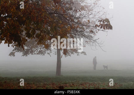 Wimbledon London, UK. 1. November 2015. Ein Mann geht seinen Hund durch dichten Nebel auf Wimbledon Common an einem kalten Novembermorgen Credit: Amer Ghazzal/Alamy Live-Nachrichten Stockfoto