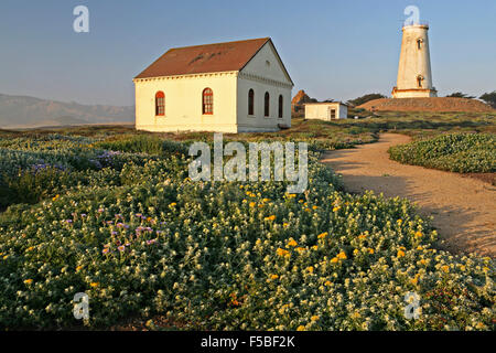 Piedras Blancas Light Station Teil der California Coastal National Monument in Point Piedras Blancas, California. Stockfoto