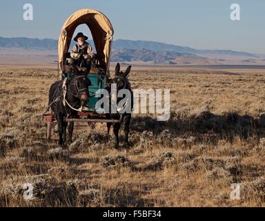 Eine historische interpretativen Schauspieler Reenactment-ein Wagenzug zu zeigen, wie Pioniere auf dem Oregon Trail am National historischen Oregon Trail Interpretive Center 30. September 2010 in Baker City, Oregon gelebt. Stockfoto