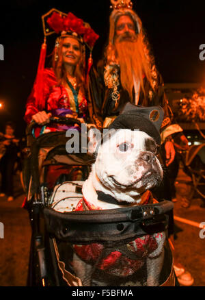 Los Angeles, USA. 31. Oktober 2015. Nachtschwärmer besuchen die West Hollywood Halloween Kostüm Karneval am Santa Monica Boulevard in Los Angeles, USA, am 31. Oktober 2015. Bildnachweis: Zhao Hanrong/Xinhua/Alamy Live-Nachrichten Stockfoto