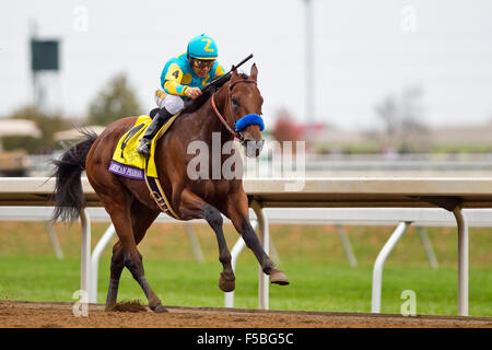 Lexington, Kentucky, USA. 31. Oktober 2015. 31. Oktober 2015: Scott Serio/ESW/CSM/Alamy Live-Nachrichten Stockfoto