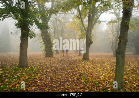 Wimbledon London, UK. 1. November 2015. Wimbledon Common in dichten Nebel Kredit abgedeckt: Amer Ghazzal/Alamy Live-Nachrichten Stockfoto