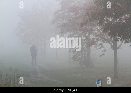 London, UK. 1. November 2015. Nebliges Wetter auf Wimbledon Common London Kredit: Amer Ghazzal/Alamy Live-Nachrichten Stockfoto