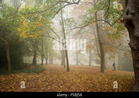 London, UK. 1. November 2015. Nebliges Wetter auf Wimbledon Common London Kredit: Amer Ghazzal/Alamy Live-Nachrichten Stockfoto