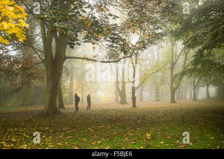 Wimbledon London, UK. 1. November 2015. Wimbledon Common in dichten Nebel Kredit abgedeckt: Amer Ghazzal/Alamy Live-Nachrichten Stockfoto