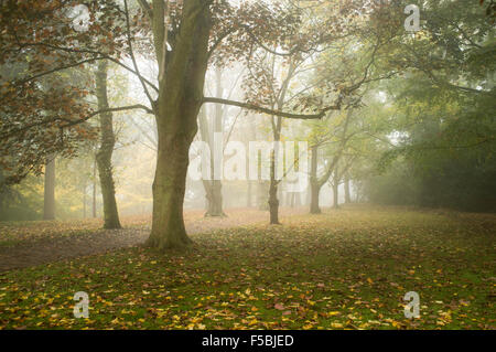 Wimbledon London, UK. 1. November 2015. Wimbledon Common in dichten Nebel Kredit abgedeckt: Amer Ghazzal/Alamy Live-Nachrichten Stockfoto