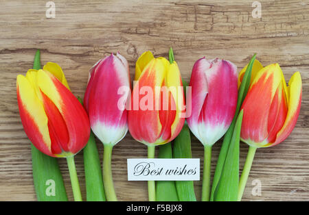 Die besten Wünsche Karte mit bunten Tulpen auf Holzuntergrund Stockfoto