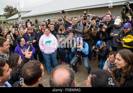 Lexington, Kentucky, USA. 1. November 2015. 1. November 2015: Medien und Fans fotografieren der Familie Zayat bei Keeneland Race Course in Lexington, Kentucky am Morgen nach amerikanischen Pharoah am 1. November 2015 der Breeders' Cup Classic gewann. Scott Serio/ESW/CSM/Alamy Live-Nachrichten Stockfoto