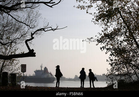 Hamburg, Deutschland. 1. November 2015. Passanten schauen in Richtung Elbe in Hamburg, Deutschland, 1. November 2015. Foto: Christian Charisius/Dpa/Alamy Live News Stockfoto