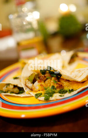 Lippfische Tacos an Lippfische & Grill Bar Key West, Florida, USA mit bunten Platten Stockfoto