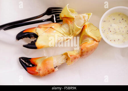 Stone Crab Claws bei Eaton Street Seafood Market Restaurant Key West Florida USA travel Stockfoto