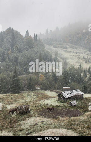Altes Landhaus bei starkem Schneefall in Karpaten Berge in der Ukraine Stockfoto