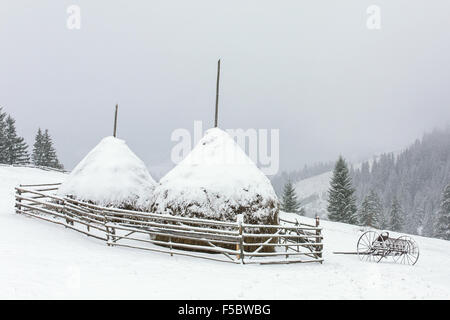 Winter-Heuhaufen im Carphatian Gebirge, Ukraine Stockfoto