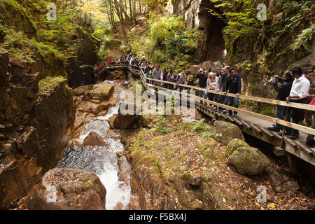 Touristen in der Flume Gorge, Franconia Notch state Park, White Mountains, New Hampshire New England USA Stockfoto