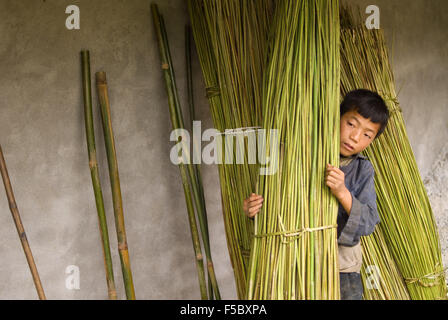 Ein Junge tragen Bambus in der Art von Sapa in den nahe gelegenen Dörfern der Lao Chai und Ta Van. Vietnam. Stockfoto