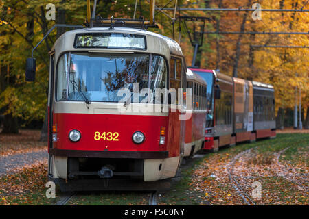 Prager Straßenbahn Prager Straßenbahn Stromovka, Stadtpark, Tschechische Republik Stockfoto