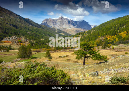 Herbst im Val-de-Prés, Briancon, Alpes-Maritimes Stockfoto