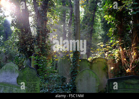 Sonnenstrahlen auf überwucherten Grabsteinen in in Tower Hamlets Cemetery Park, London, UK Stockfoto