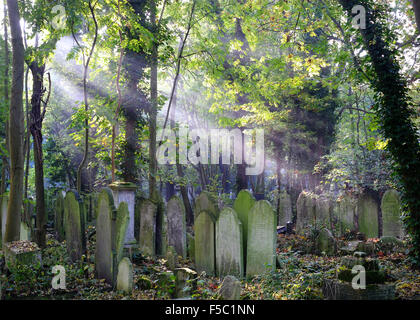 Sonnenstrahlen in überwucherten Gräbern in Tower Hamlets Cemetery Park, London, UK Stockfoto