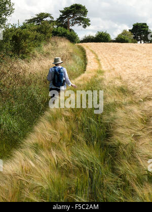 Frau in Sonnenhut Reife Gerste Feldrand entlang, durch eine Hecke, Leicestershire, England, UK. Stockfoto