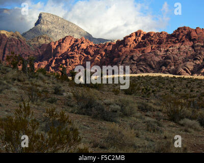 Red Rock Canyon National Conservation Area in der Nähe von Las Vegas, Nevada. Stockfoto