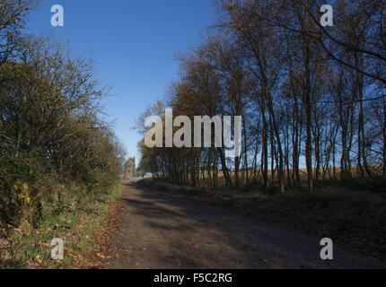 Der Taubenturm. Grad Ii denkmalgeschütztes Gebäude Rivington Gärten nahe Chorley, Horwich, Bolton, Adlington, Darwen und Blackburn Stockfoto