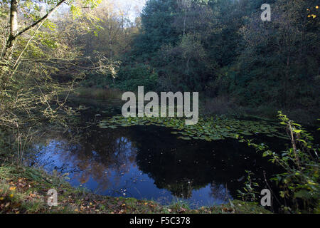 Teil der Rivington Gärten nahe Chorley, Horwich, Bolton, Adlington, Darwen und Blackburn. Sie sind im Westen der Winter Hill. Stockfoto