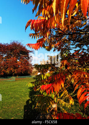 Eine schöne Herbst-Szene in Hampton Court Schloss, Gärten und Parks in der schönen Landschaft Herefordshire. Stockfoto