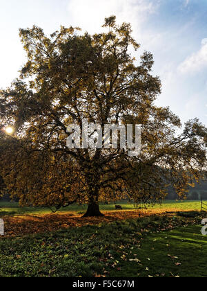 Eine schöne Herbst-Szene in Hampton Court Schloss, Gärten und Parks in der schönen Landschaft Herefordshire. Stockfoto