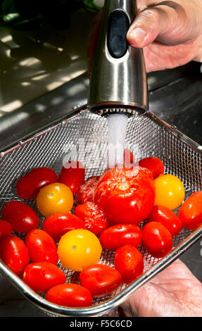 Waschen frische saftige Tomaten in der Spüle. Stockfoto