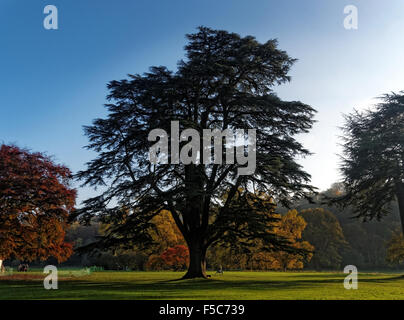 Eine schöne Herbst-Szene in Hampton Court Schloss, Gärten und Parks in der schönen Landschaft Herefordshire. Stockfoto