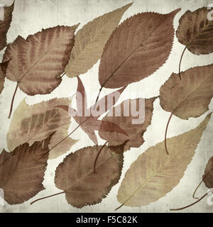 altes Papierhintergrund mit herbstlichen Blättern texturiert Stockfoto