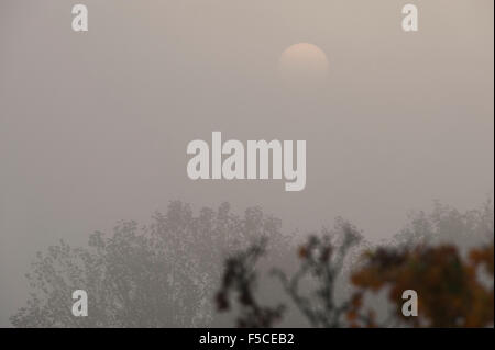Wimbledon, London, UK. 1. November 2015. Dichter Nebel steigt in Richtung Sonnenuntergang über SW London Vororte mit der untergehenden Sonne fast verdeckt. Bildnachweis: Malcolm Park Leitartikel/Alamy Live-Nachrichten Stockfoto
