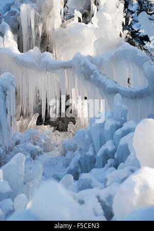 Gefrorenen Wald entlang Lake Superior im Winter nach eine 15 ft Welle in einer Klippe stürzte und das eiskalten Wasser sofort erstarrte Stockfoto