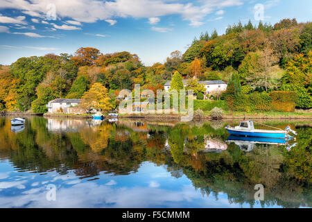 Herbstliche Landschaft entlang des Flusses while in Cornwall Stockfoto