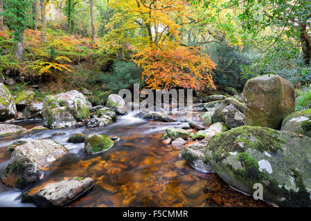 Zauberwald-Fluss fließt über bemooste Felsbrocken am Dewerstone auf Dartmoor in Devon Stockfoto